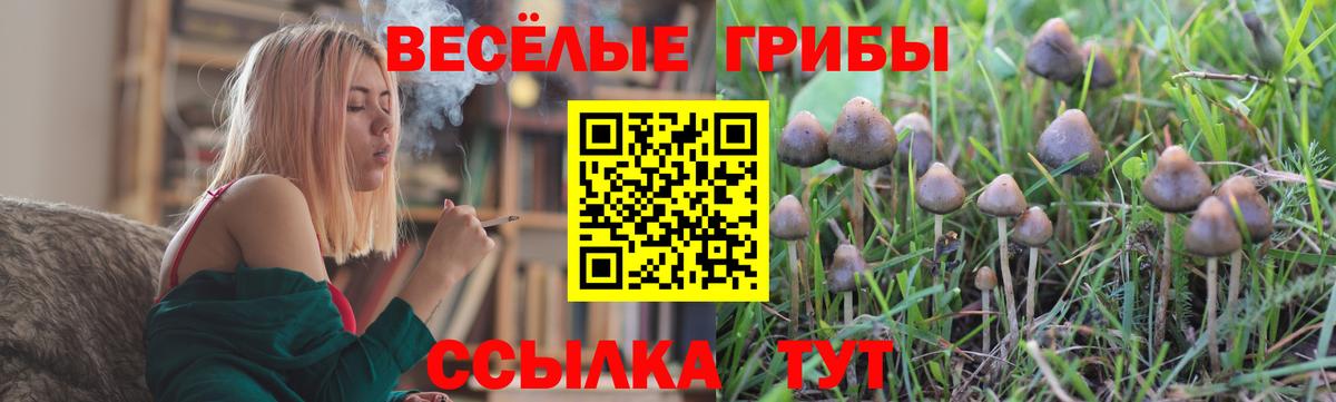 купить   Вход с VPN  Наро-Фоминск  Псилоцибиновые грибы Psilocybine cubensis  Галлюциногенные грибы прущие грибы 